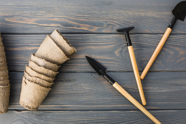 Free photo flat lay gardening composition