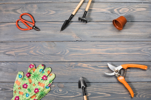 Flat lay gardening composition