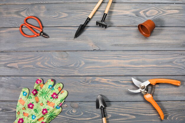 Flat lay gardening composition