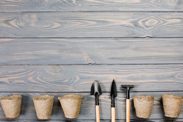 Flat lay gardening composition