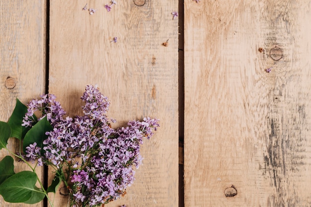 Flat lay gardening concept with copyspace