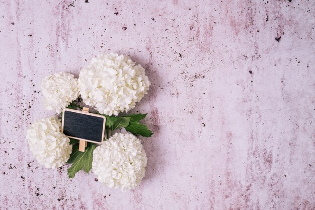 Flat lay gardening concept with copyspace