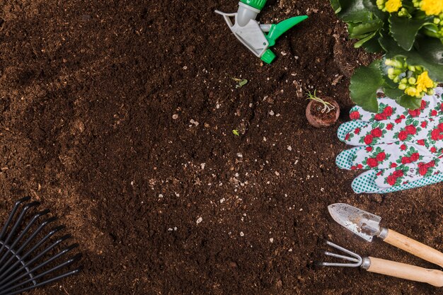 Flat lay gardening concept