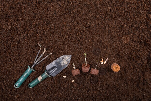 Flat lay gardening concept