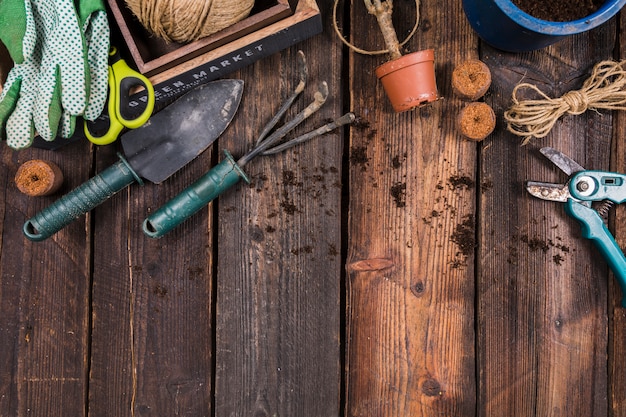 Flat lay gardening concept