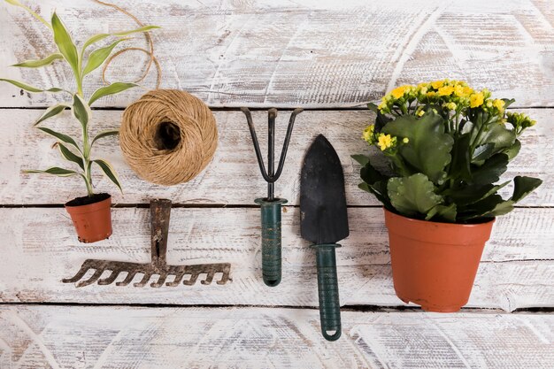 Flat lay gardening concept