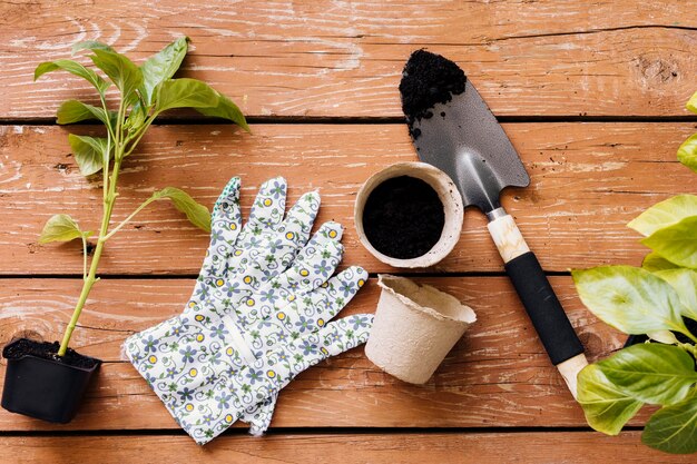 Flat lay gardening tools composition