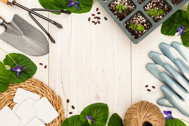 Flat lay gardening tools and plants frame with copy space