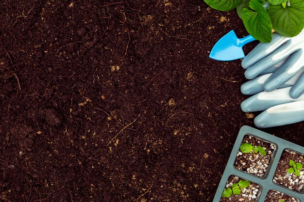 Flat lay gardening tools and plants on soil with copy space