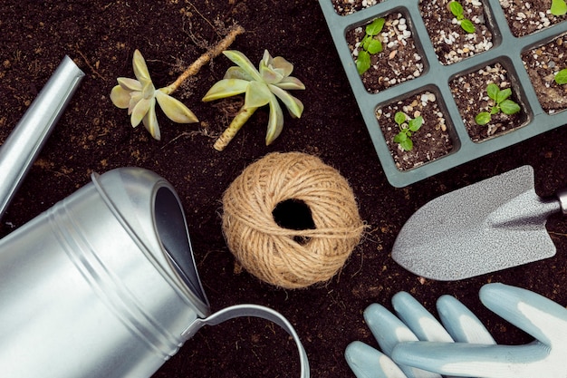 Flat lay gardening tools and plants on soil