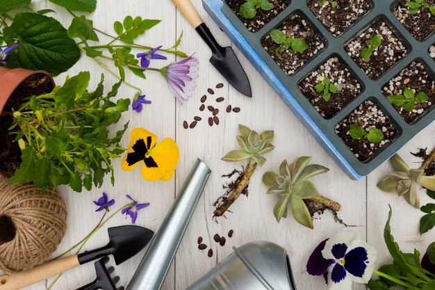 Flat lay gardening tools and plants on wooden background