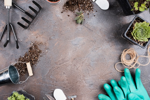 Flat lay of gardening tools with copy space