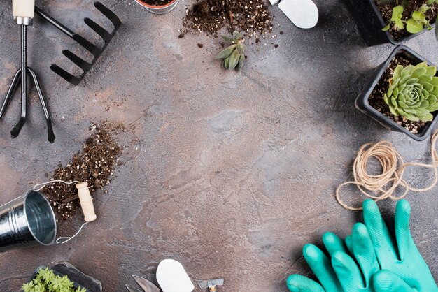 Flat lay of gardening tools with copy space