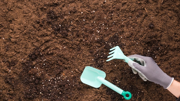 Flat lay of gardening tools with copyspace