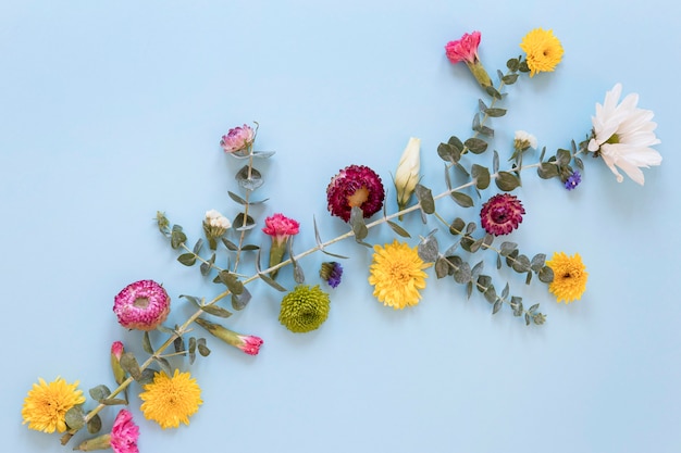 Flat lay of gorgeous flowers arrangement