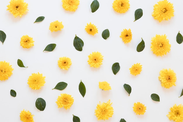 Flat lay of gorgeous flowers arrangement