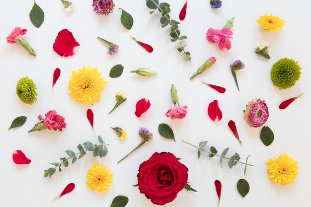 Flat lay of gorgeous flowers arrangement