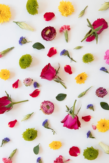 Плоская планировка из великолепных цветочных композиций