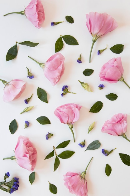 Flat lay of gorgeous flowers arrangement