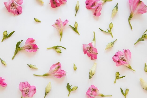 Flat lay of gorgeous flowers arrangement