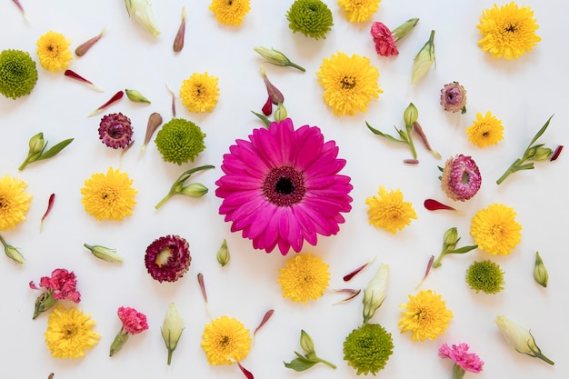 Foto gratuita disposizione piatta di una splendida composizione di fiori