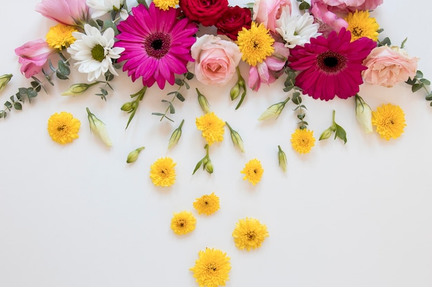 Flat lay of gorgeous flowers assortment