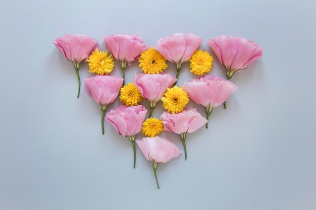 Flat lay of gorgeous flowers assortment