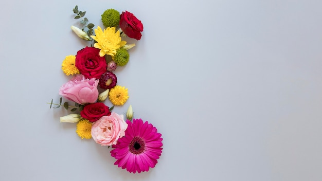 flat lay of gorgeous flowers assortment