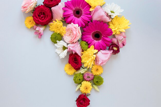 Flat lay of gorgeous flowers assortment