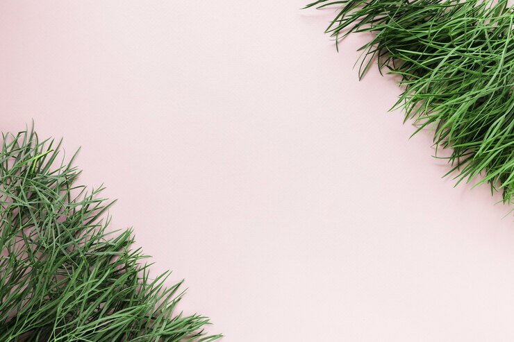 Free Photo flat lay of grass with copyspace