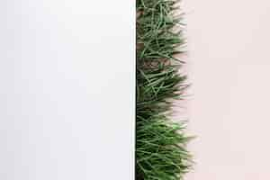 Free photo flat lay of grass with copyspace