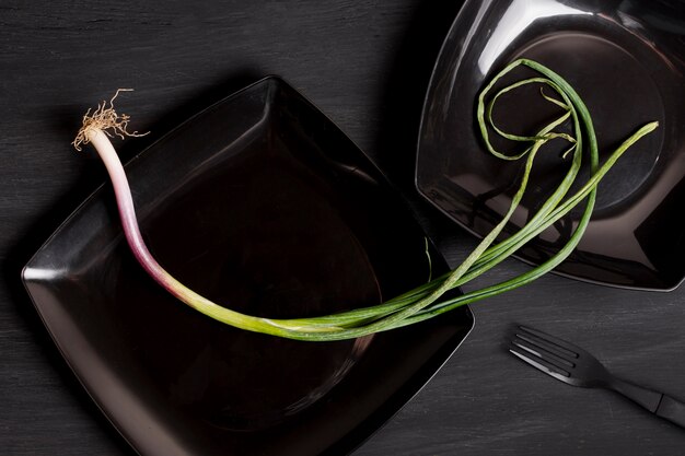 Flat lay green garlic on black plate