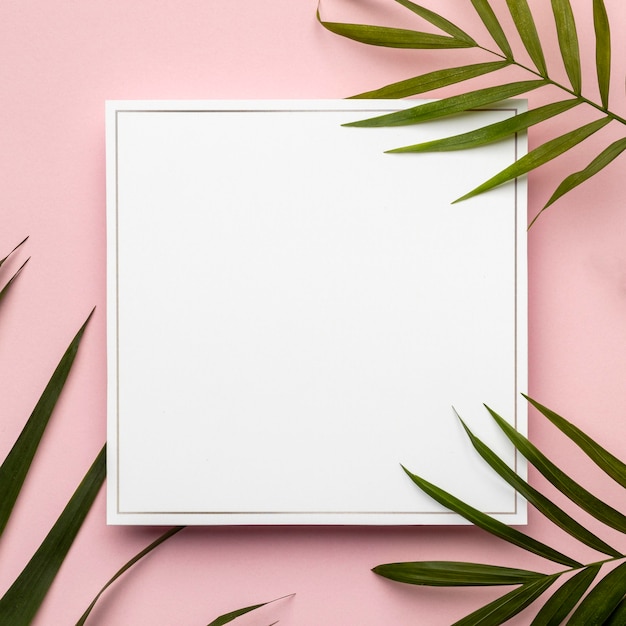 Free photo flat lay green leaves composition with empty frame