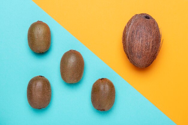 Flat lay kiwi and coconut arrangement