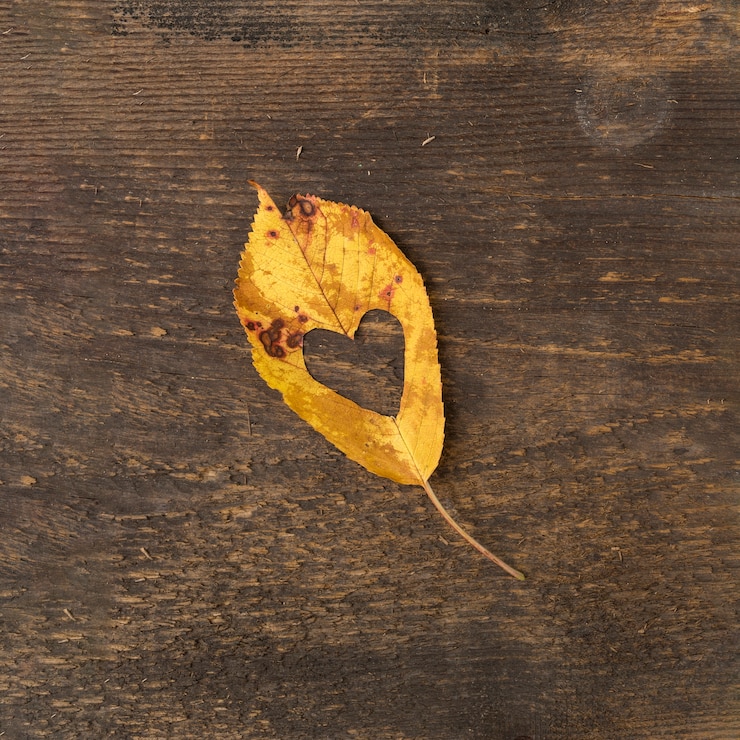 Free Photo flat lay leaf with heart shaped cut