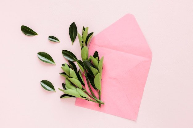 Flat lay of leaves on envelope