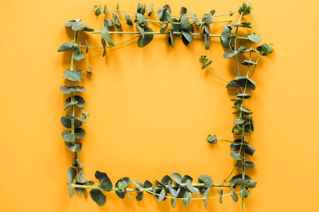 Flat lay of leaves forming a frame