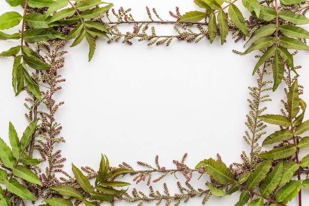 Flat lay of leaves frame with copy space