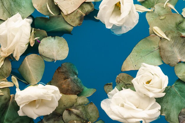 Flat lay leaves and petals in blue water