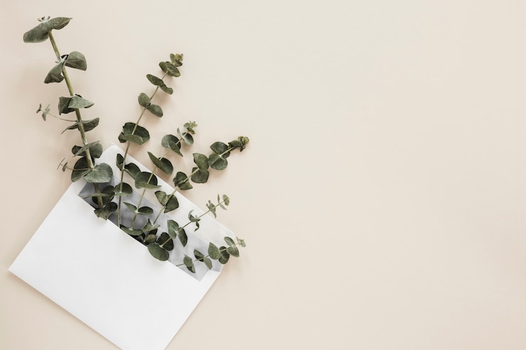 Free Photo flat lay of leaves with copyspace