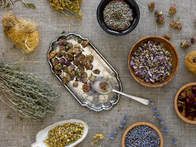 Flat lay of medicinal herbs and spices