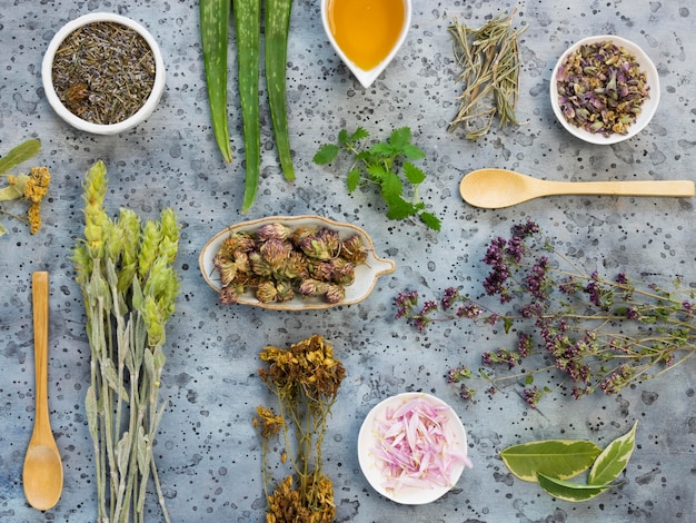 Flat lay of medicinal spices and herbs