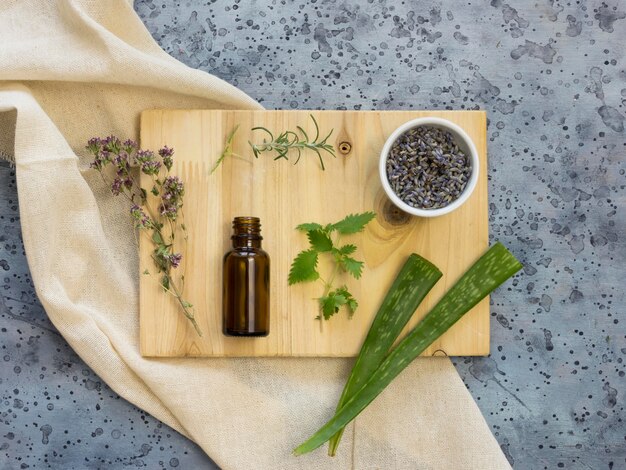 Flat lay of medicinal spices and herbs