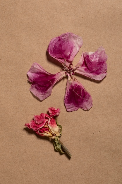 flat lay of minimal flowers