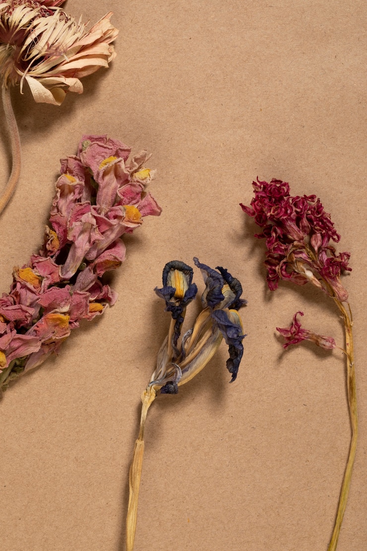 無料Photo 最小限の花のフラットレイ