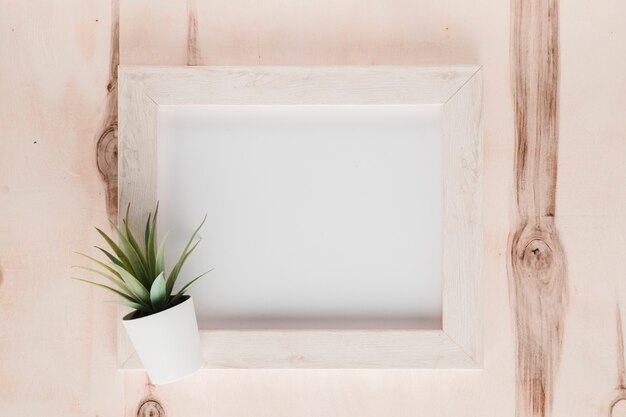 Flat lay minimalist frame with plant