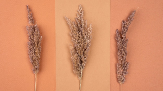 Flat lay of monochromatic assortment of dried lavender