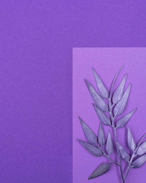 Flat lay of monochromatic leaves with copy space