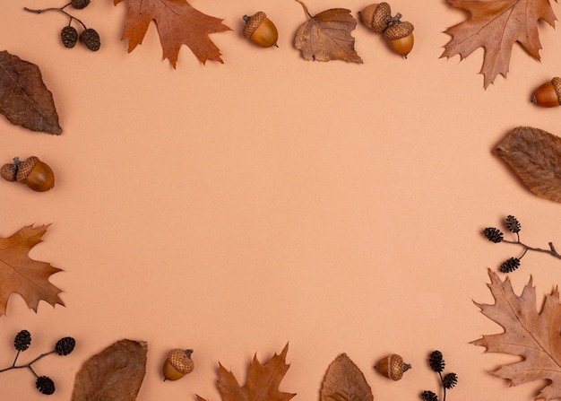 Free photo flat lay of monochromatic selection of leaves frame