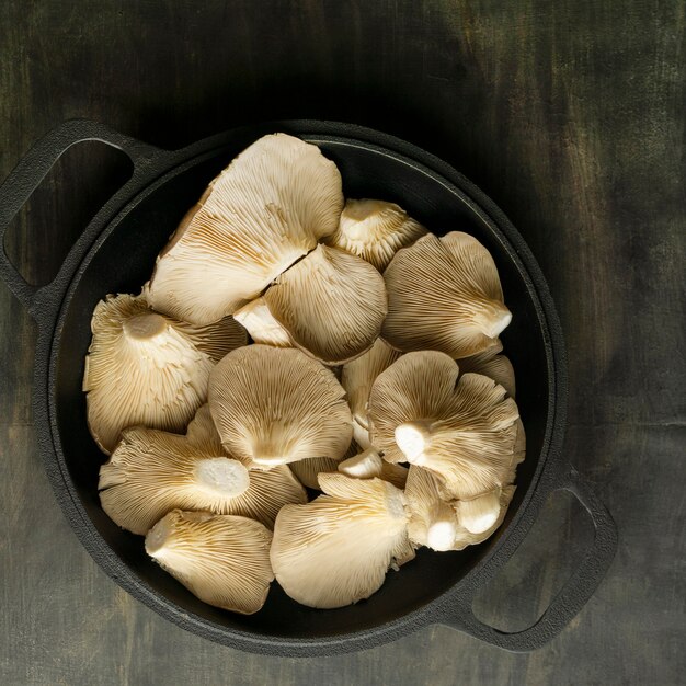 Flat lay mushrooms in pot